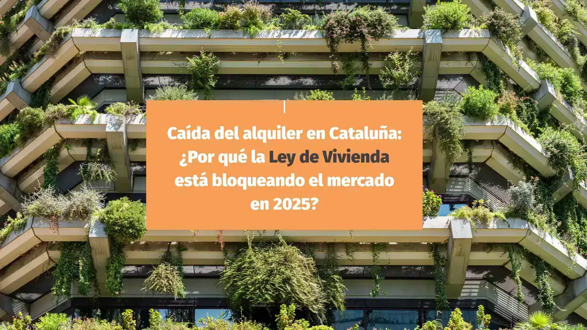 Colapso del Mercado del Alquiler en Cataluña: ¿Por Qué la Ley de Vivienda Está Congelando el Mercado en 2025?