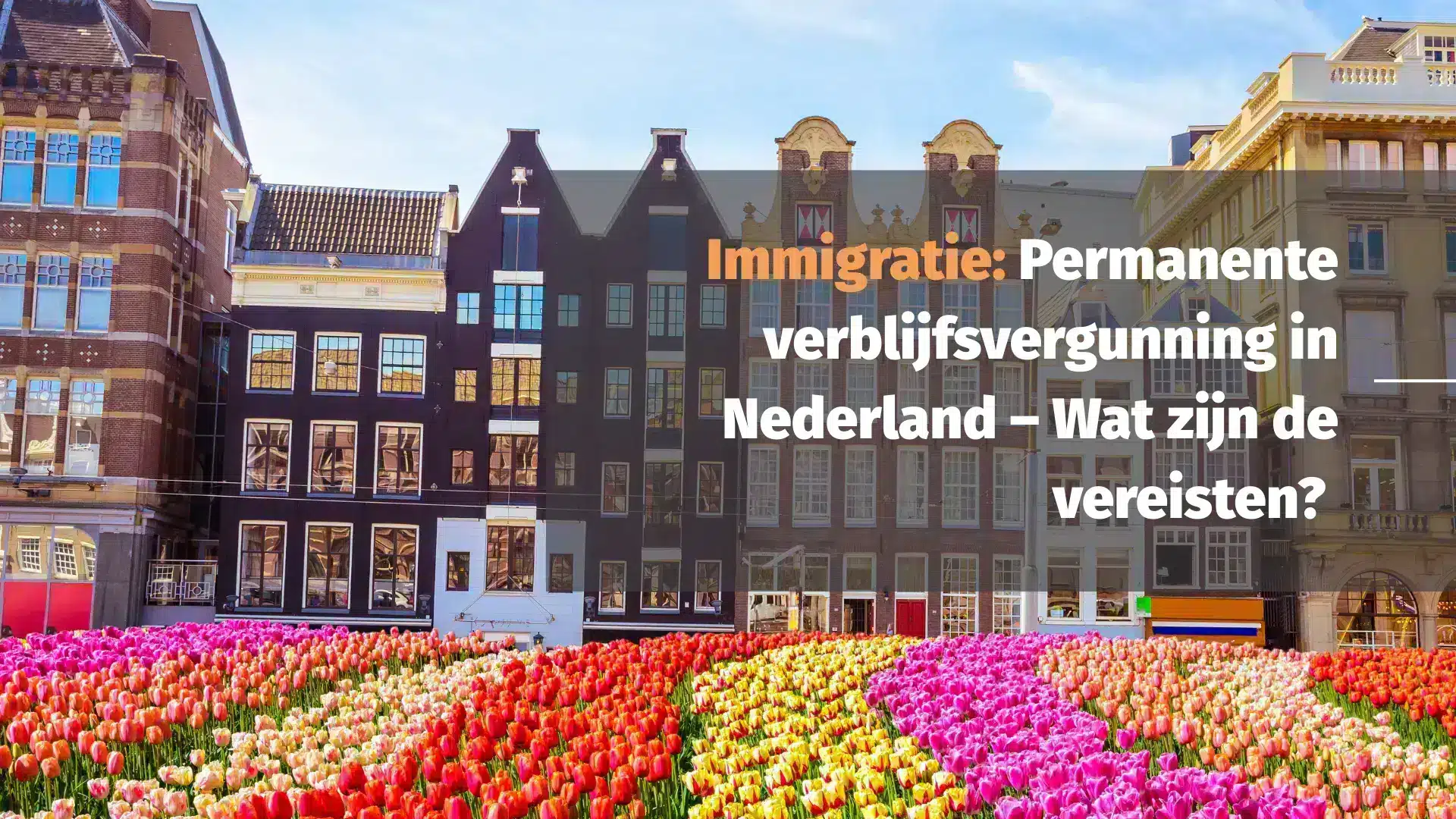 Immigratie: Permanente Verblijfsvergunning in Nederland – Wat Zijn de Vereisten?