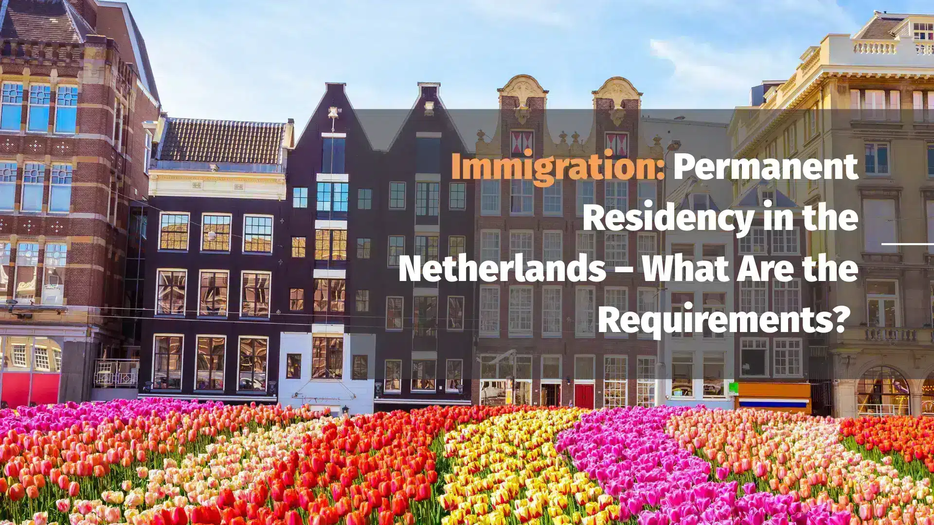 Flowers in The city of Netherlands